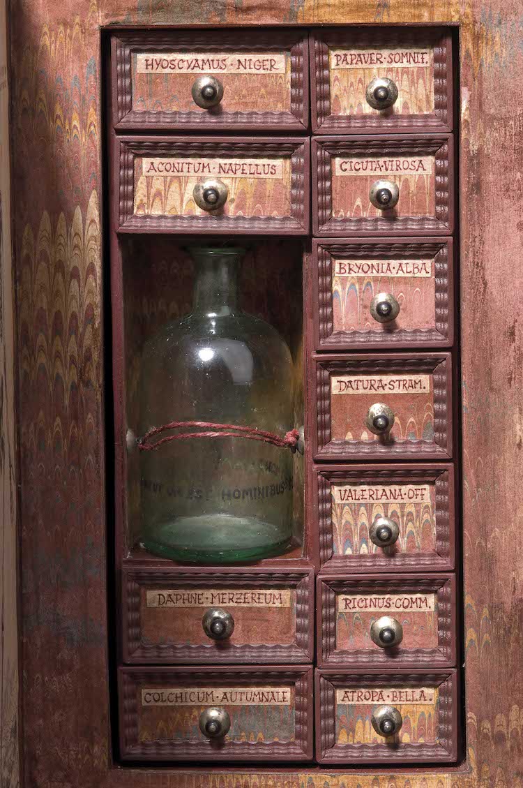 The contents included (clockwise from top left): henbane, opium poppy, water hemlock, false mandrake, devil’s snare, valerian, castor bean, deadly nightshade, autumn crocus, and mezereon. The bottle most probably held grain alcohol or olive oil for making tinctures or oils. 2/3