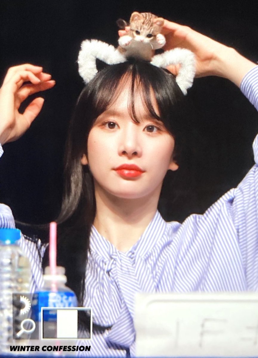 winter_12_24's tweet photo. 210425

우리집고양이🐱

#WJSN #우주소녀 #설아 #SEOLA https://t.co/SGwfrFDZrN