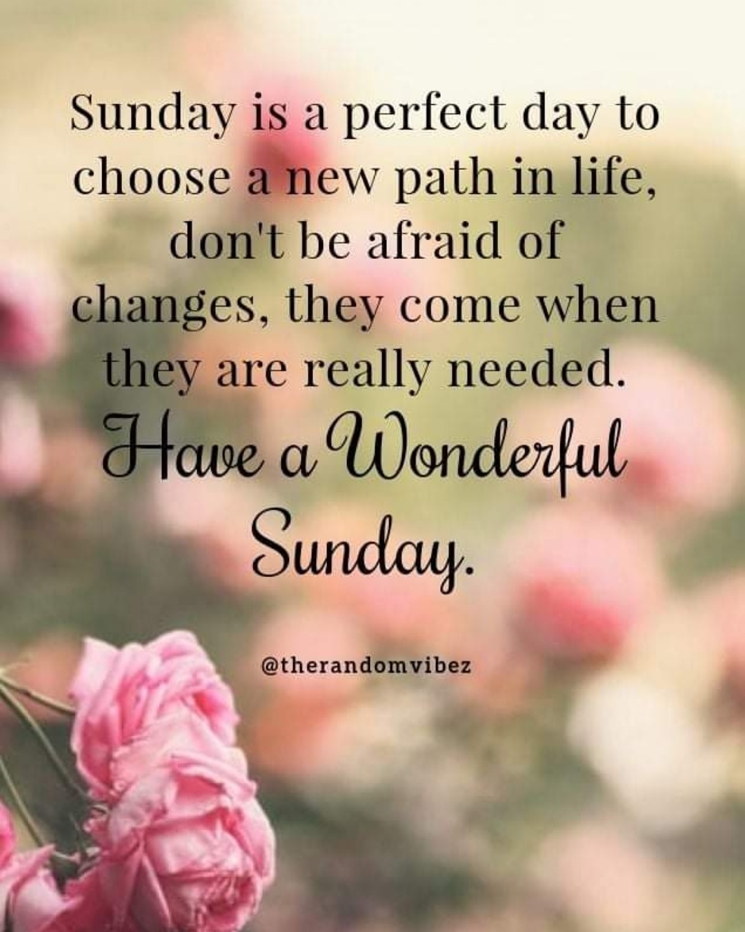 Sunday Morning Quotes To Relax And Unwind