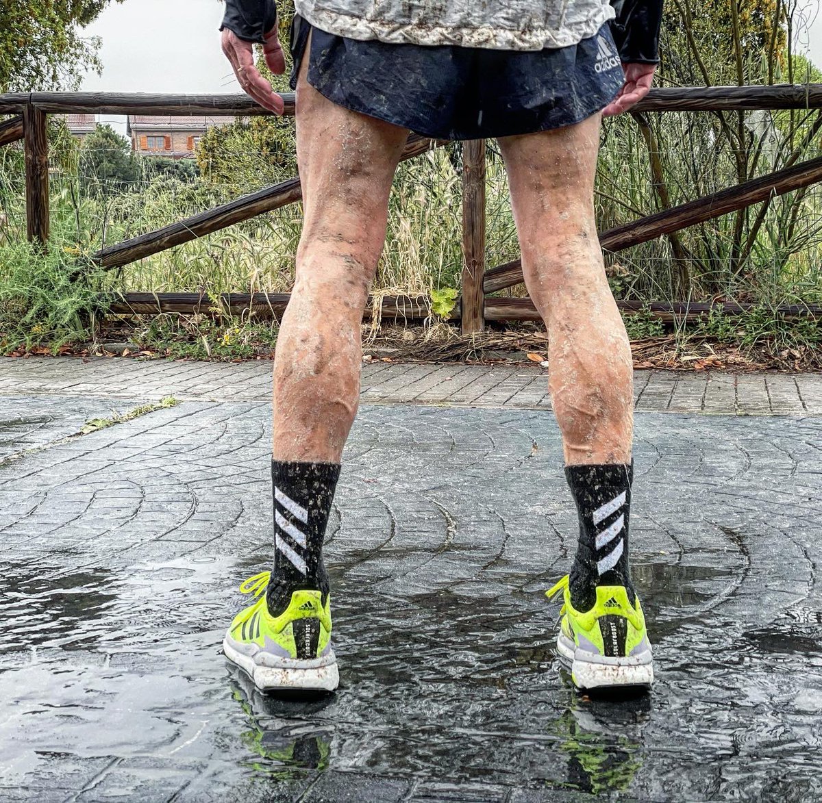 Chema Martinez tweet media