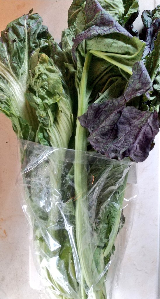 塩漬け 高菜 冷凍保存もできる！便利で美味しい高菜の保存方法をチェック！