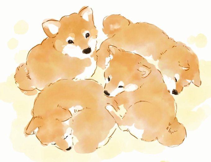 柴犬 高画質 のtwitterイラスト検索結果