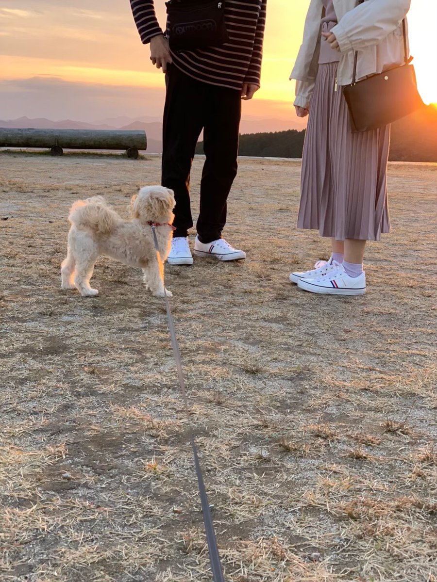 _st_r_'s tweet photo. 令和3年4月5日、入籍しました。
僕たちらしくたくさんの笑顔溢れる幸せな家庭を築いていきます！ https://t.co/z5rjcyBCfY