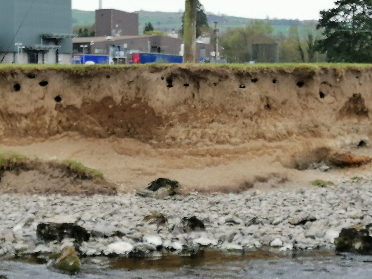 Gethin Jones tweet media