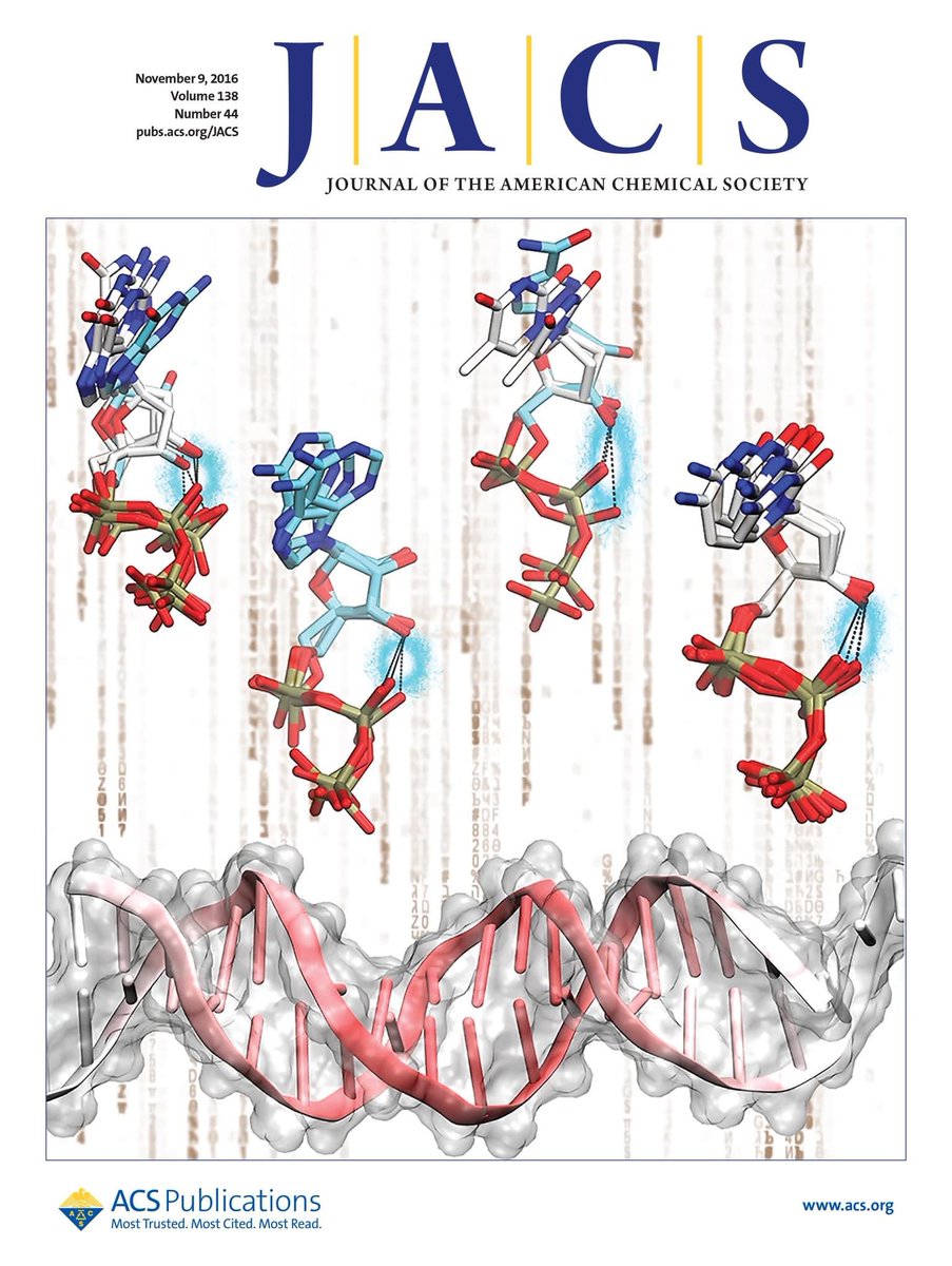 Happy #DNADAY
Here celebrating with one of my Covers in <a href="/J_A_C_S/">J. Am. Chem. Soc.</a> (2016)
Keep investigating. Too much to understand yet...<a href="/EMBO/">EMBO</a> <a href="/IITalk/">IIT</a> <a href="/IRBBarcelona/">IRB Barcelona</a>