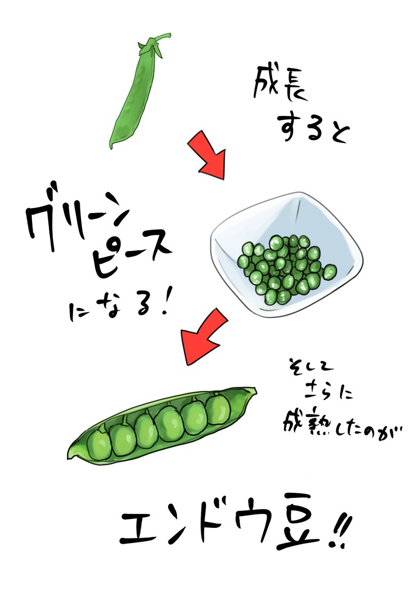 これが本当の豆知識(あるいは常識) 