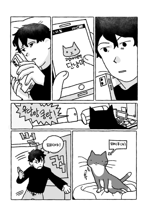 고양이 번역기 