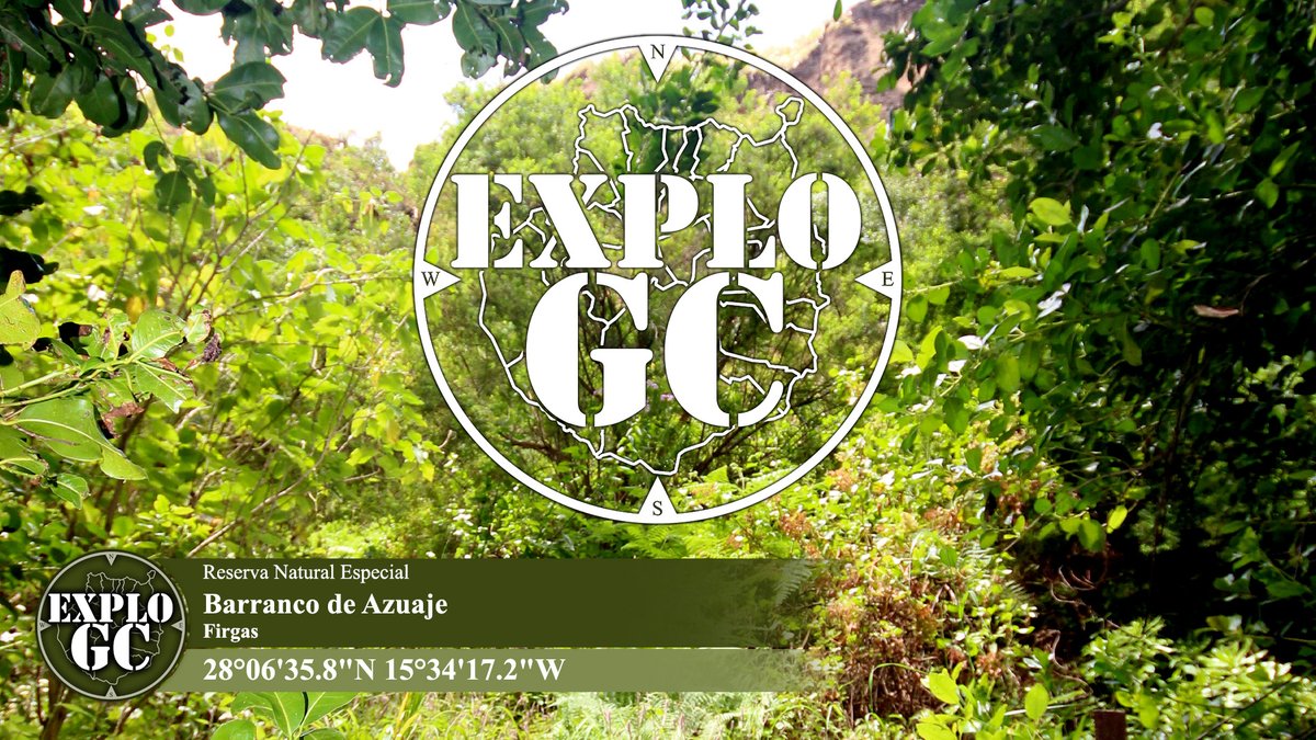 explogc's tweet photo. Reserva Natural Especial
Barranco de Azuaje
Firgas
#explogc​​​​​​​
https://t.co/Iqej8RCQlJ Gran Canaria

https://t.co/MQAEWmmA14 https://t.co/geUGCfymo5