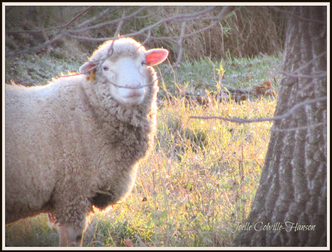 Have you seen our latest news? conta.cc/32IgjZa