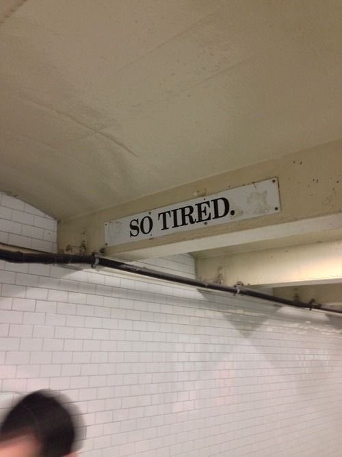 jannafitsdiary's tweet image. 