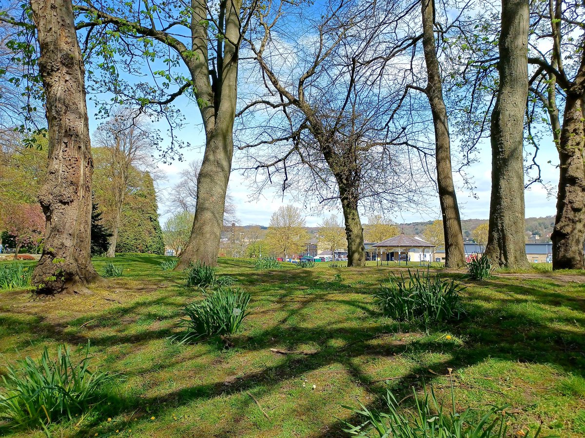 SonjaKielty's tweet photo. #MyrtlePark #Bingley gorgeous this morning 🌳🌞🌷⚘ https://t.co/L9pReQ7mC8