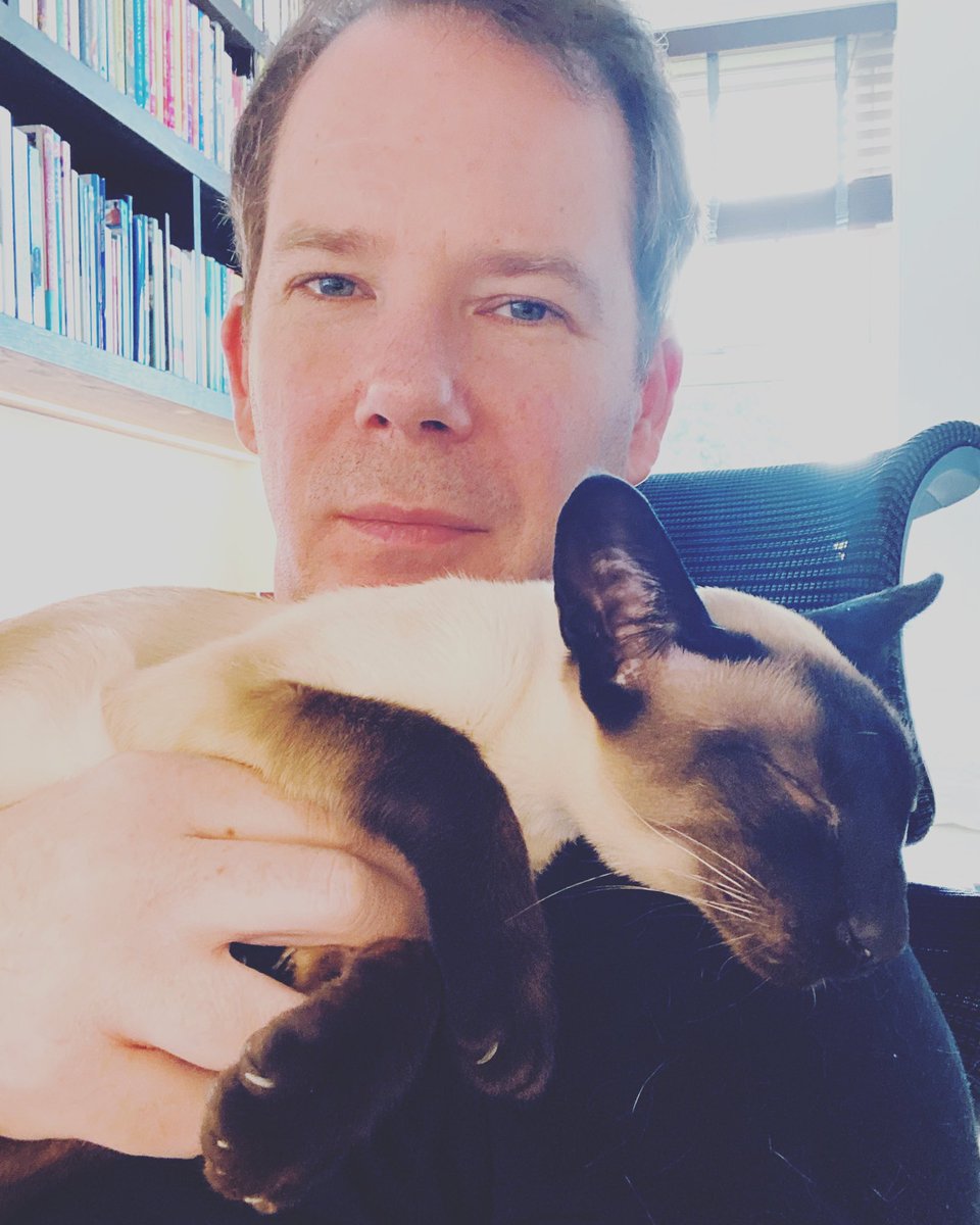 Stephen Trigg tweet media