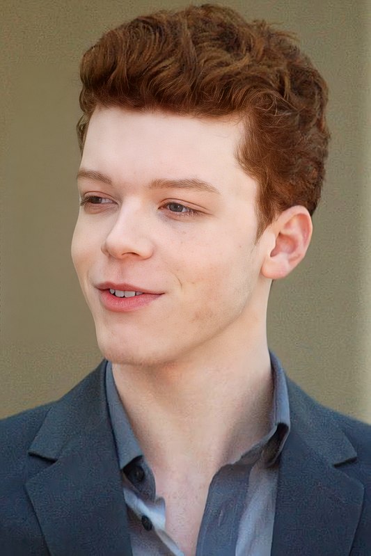 En 2015 sort sur le petit écran la série "Gotham". C'est Cameron Monaghan, vu dans "Malcolm" qui reprend le rôle. Dans cette série c'est l'avant  #Batman  . Bruce Wayne n'est qu'un ado qui n'a pas encore d'identité secrète et le  #joker s'appelle Valeska.