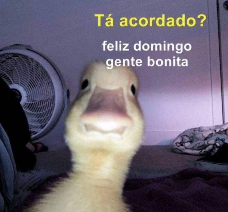 . (@dontwaitlife69) on Twitter photo 