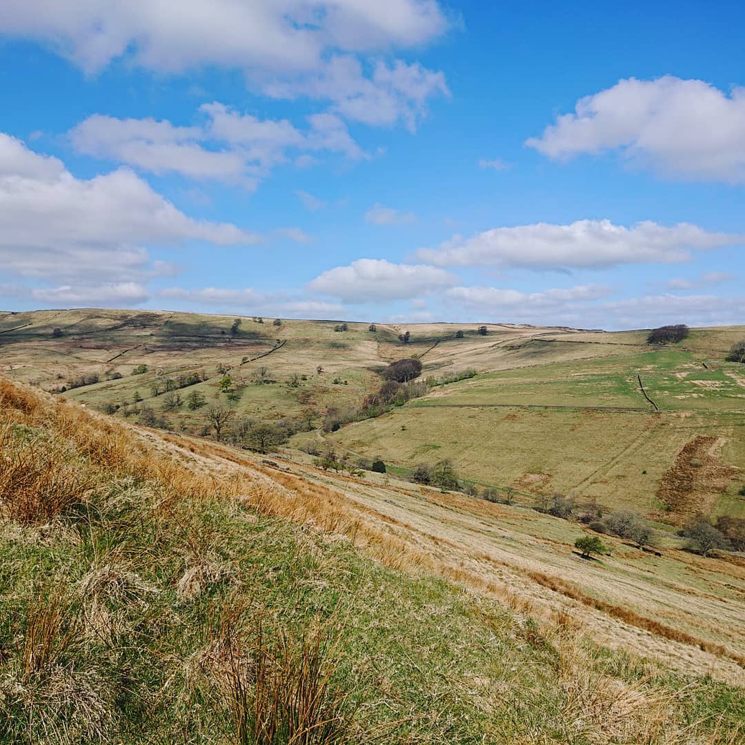 Such a beautiful walk this morning.