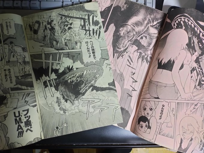 画像忘れてた… 