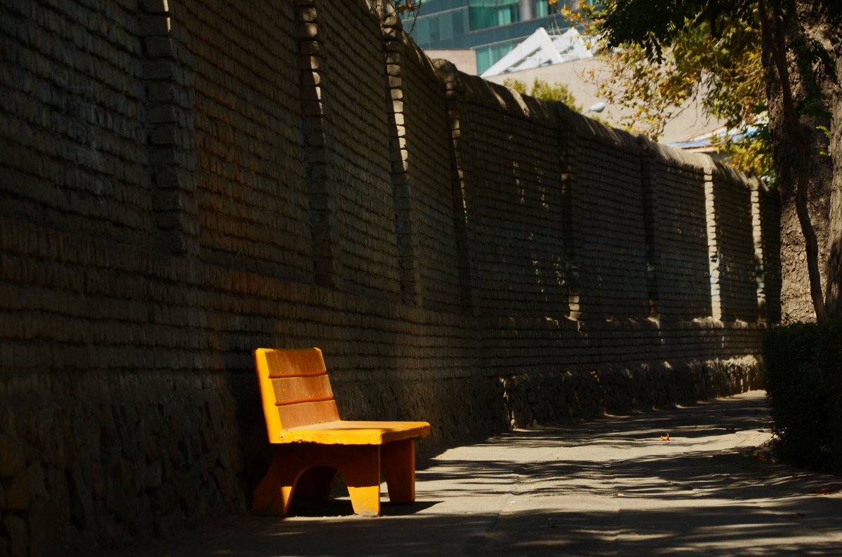 documentaryshot's tweet image. misssssssssssssssssss
.
.
🧡
.
#Documentary #documentaryshots #500px #Twitter #mashhad #photography #memorise