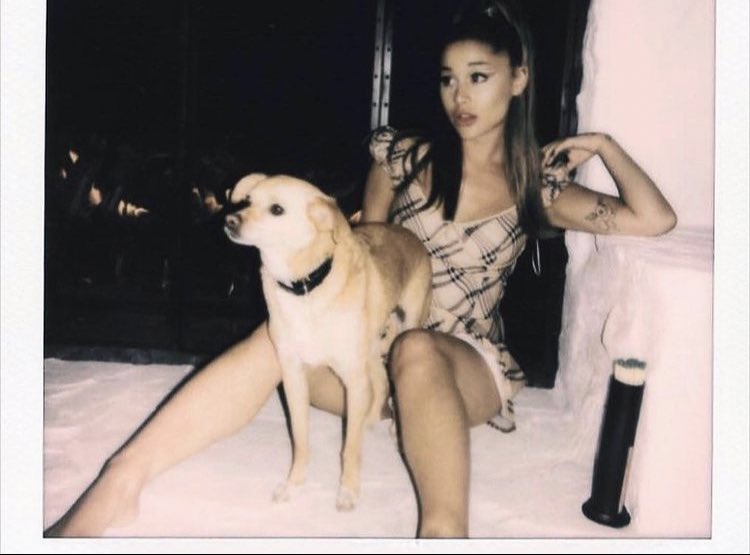 🐶