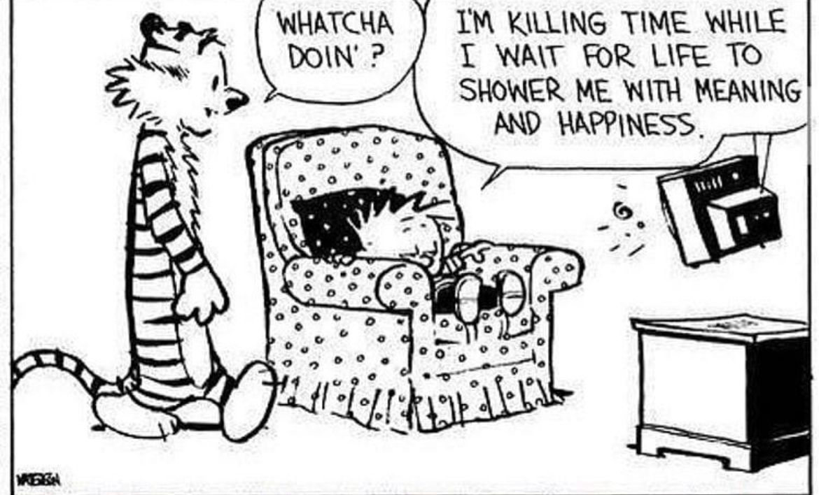 You might be waiting awhile… #CalvinandHobbes