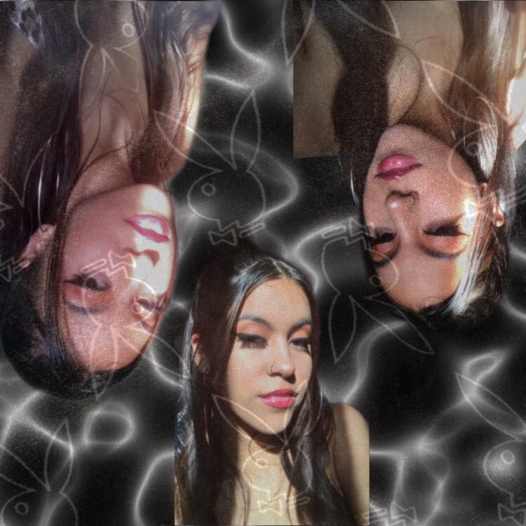 lauurayala's tweet image. 🐰🐰