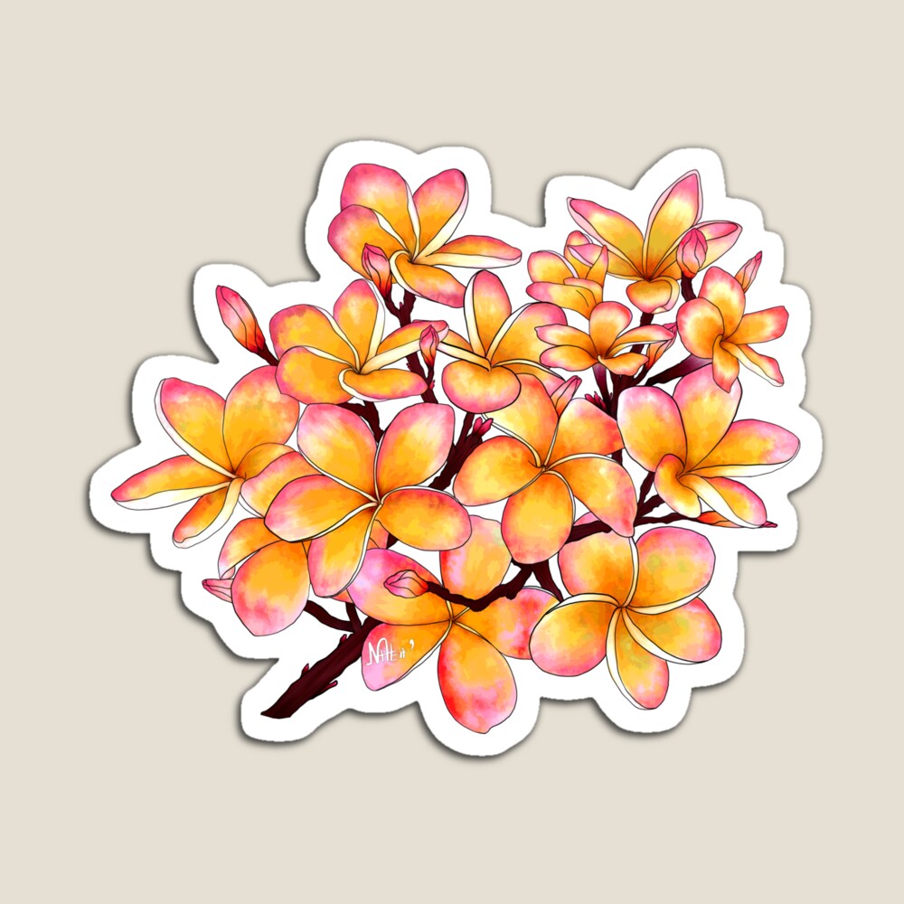 Nattea9's tweet photo. Branch of Plumeria Flower Magnet!
https://t.co/QcNiCWb003
#gift #gifts #redbubble https://t.co/KGtfCxTbOH