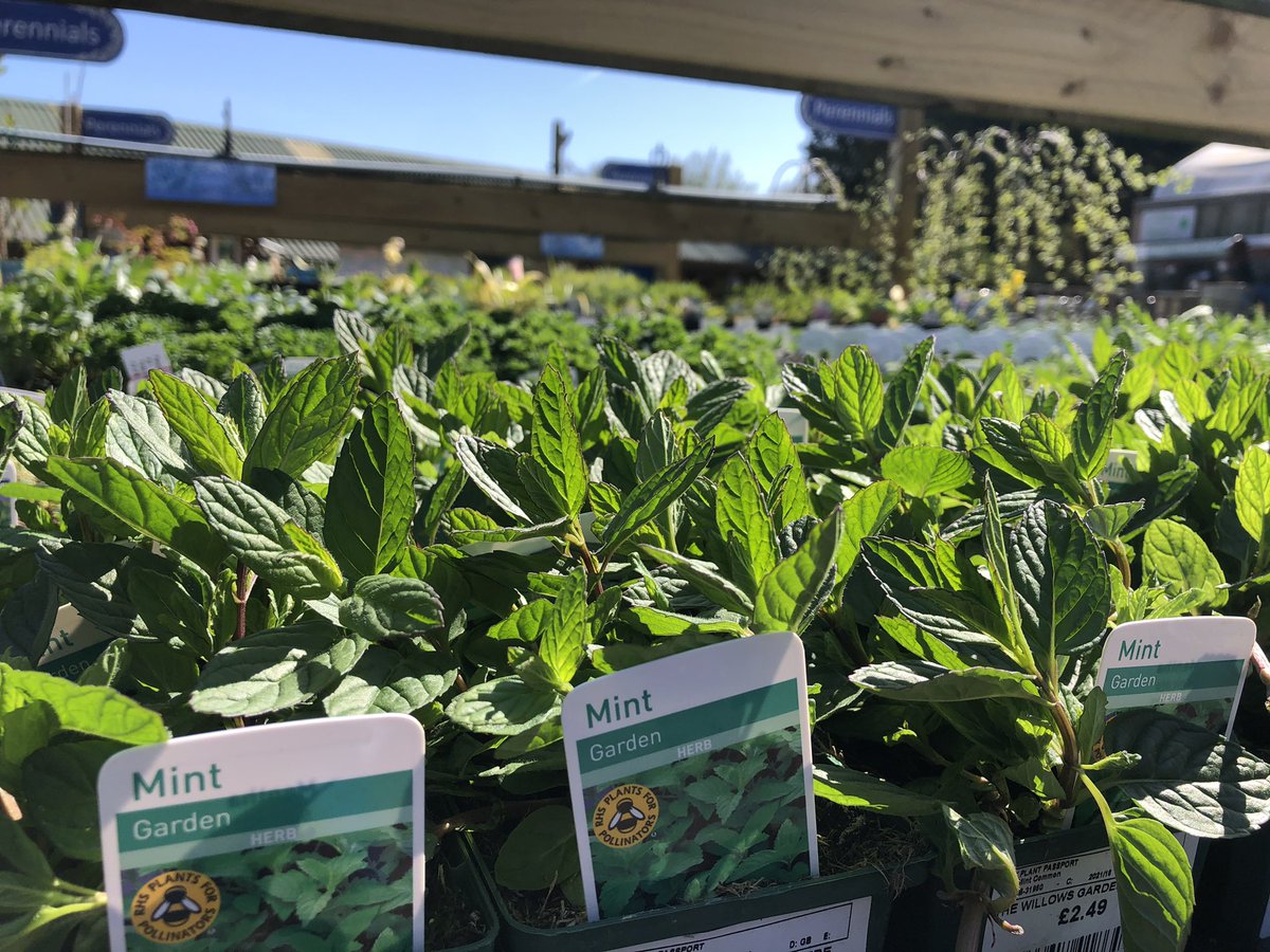 The Willows Garden Centre - Usk tweet media