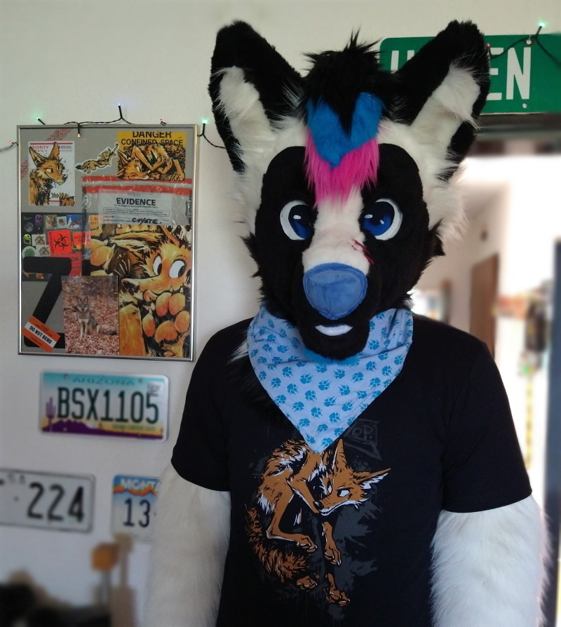 The perfect coyote apparel~
🎨 <a href="/animalartcrimes/">animal art crimes</a> 
📸 <a href="/FoxLoxely/">Fox Loxely</a>