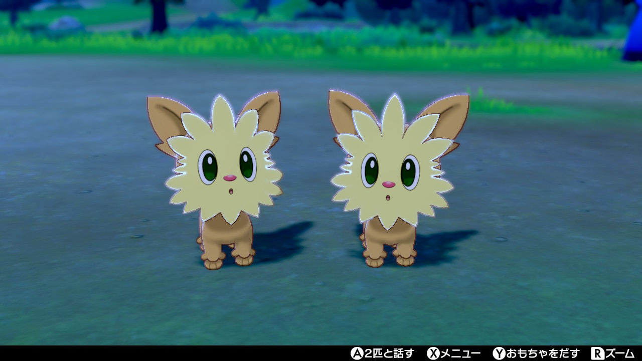 こーき ポケモン 初心者 ビギナーズラック発動中 En Twitter 色違いヨーテリー2匹産まれた 土日で2匹は普通くらいかね あと1匹うませるぞ ポケモン剣盾 Nintendoswitch T Co Y60tcjipuy Twitter こーき ポケモン 初心者 ビギナーズラック発動中 En Twitter 色違いヨーテリー2匹産まれた 土日で2匹は普通くらいかね あと1匹うませるぞ ポケモン剣盾 Nintendoswitch T Co Y60tcjipuy Twitter