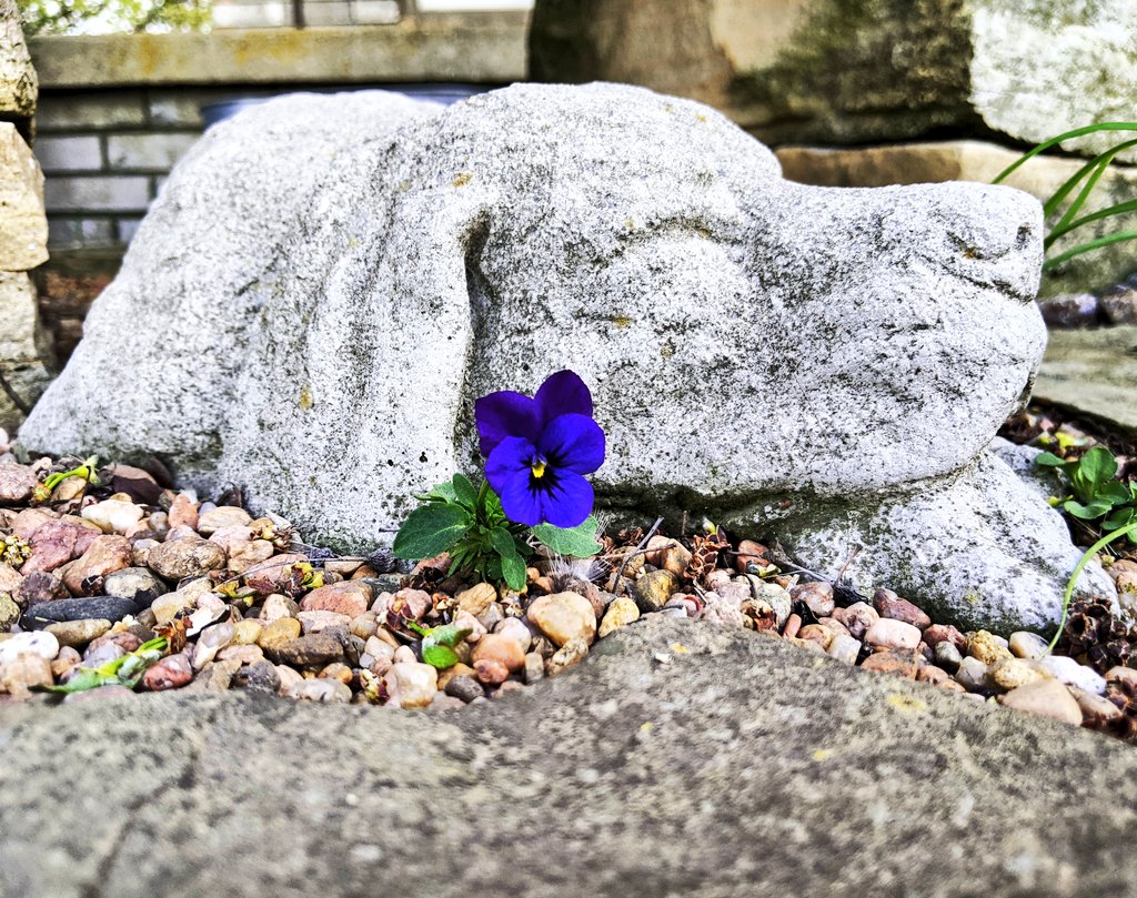 I think spring is finally here 💜