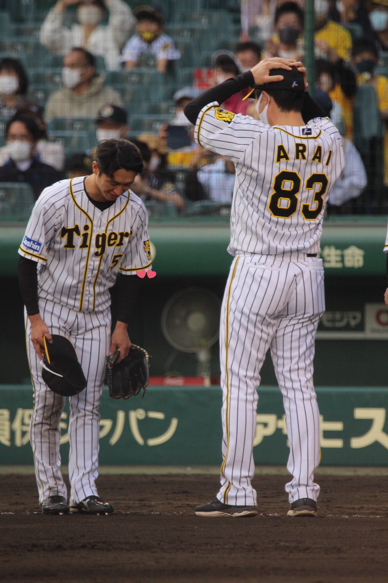 虎の4番新井貴浩 あっちに挨拶 こっちに挨拶 良太さんに挨拶 あちこち挨拶してニコニコ近本くん 阪神タイガース 近本光司 近本photo 新井良太 T Co J12ue7yd1w Twitter