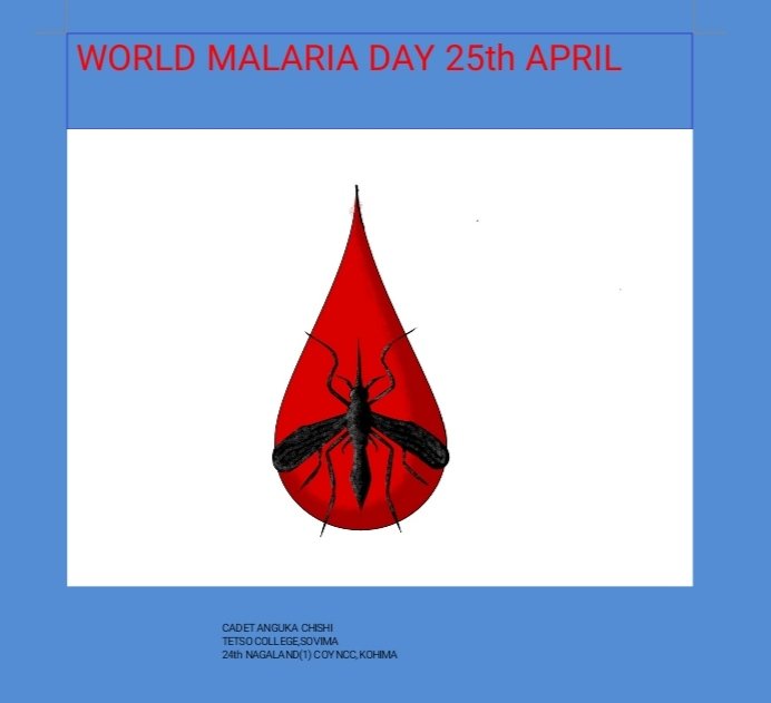 24_ncc's tweet photo. 25 April is World #Malaria_Day. World Malaria Day is an occasion to highlighted by NCC Cadets of 24 Nagaland (I) Coy NCC Kohima/Kohima Group /NER Dte. @24_ncc @nccner @HQ_DG_NCC @prodefkohima @HQ_DG_NCC_ @drajaykumar_ias https://t.co/Ka9ihVlKmy https://t.co/23C85HE4Nb
