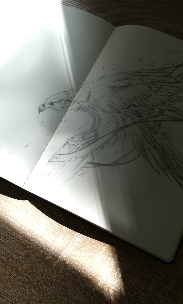 VariedWings's tweet photo. Spending the Sunday with my #sketchbook

#artistsontwitter #Sketching #sundayvibes https://t.co/BVoMhNnaW2