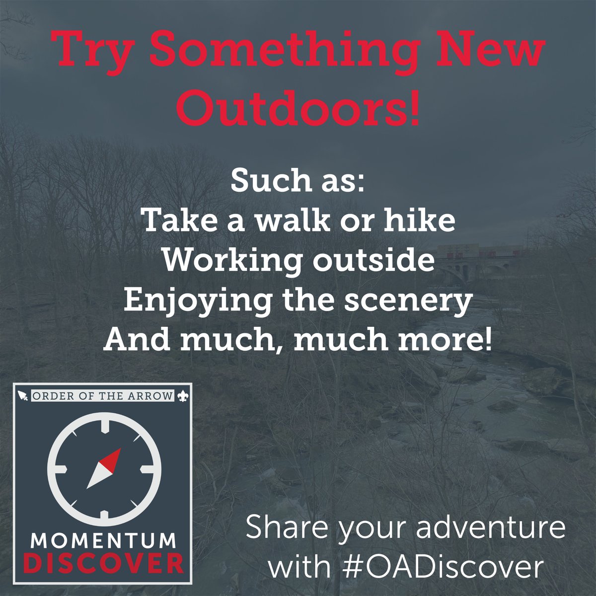 As we focus on the great outdoors today, why not tryout something new? Take a walk or hike, take your work outside, or enjoy a picnic in the park: anything to enjoy nature; whatever you choose to do, comment below or share with the hashtag: #OADiscover