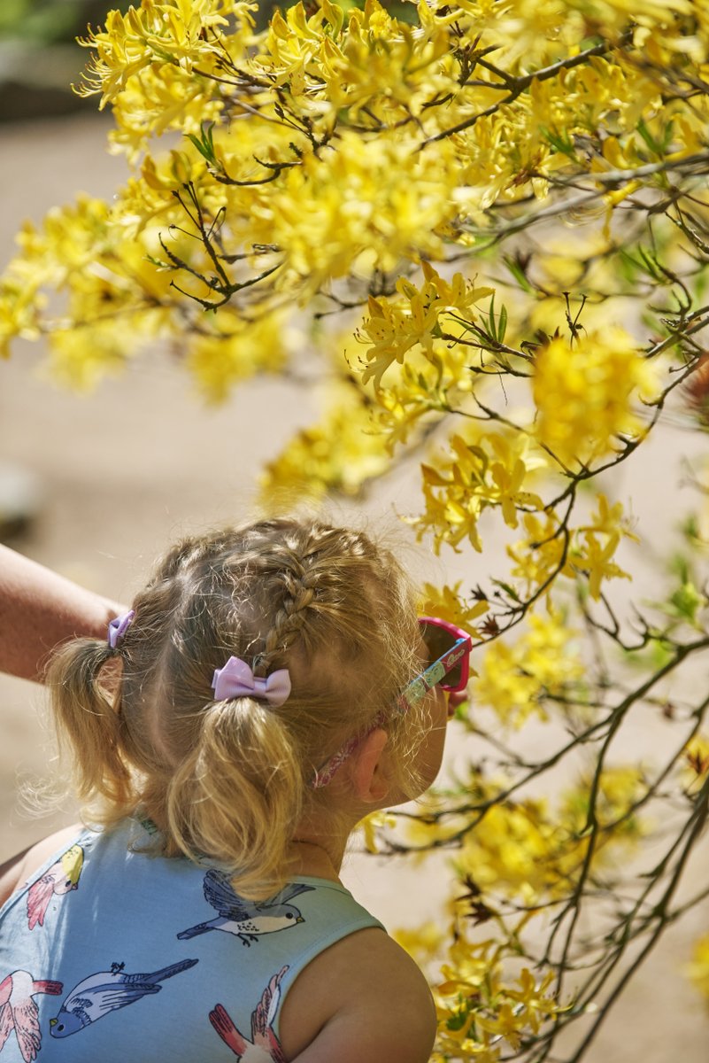 Spring is full of mesmerising sights, but what about the smells? When you’re next spending time in nature, pause for a second and see what scents you can detect… Maybe some perfumed blossom? Or the earthy smell of leaves on a woodland floor? 📷 Trevor Ray Hart