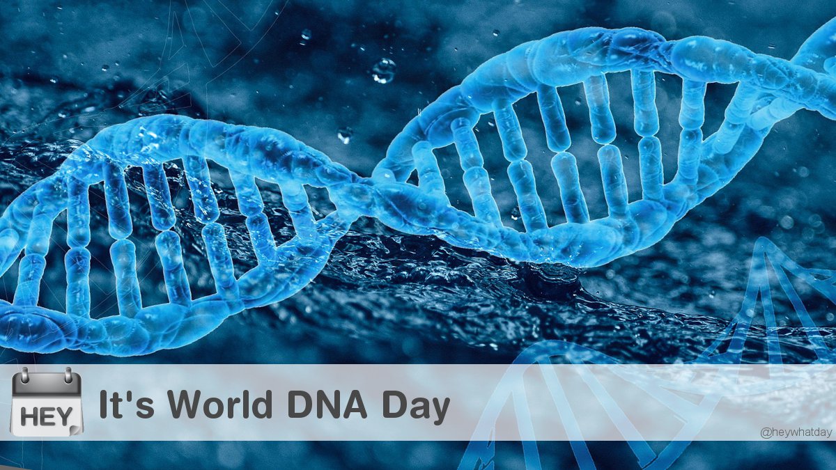 It's World DNA Day! 
#WorldDNADay #NationalDNADay #DNADay