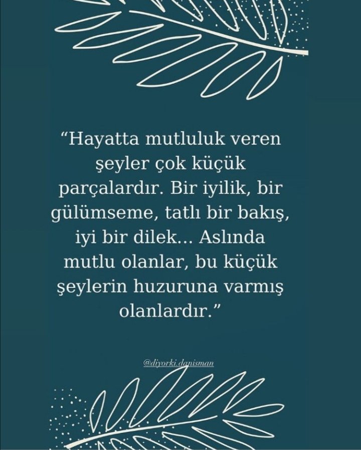 Şeyma1453 (@eyma14531) on Twitter photo 