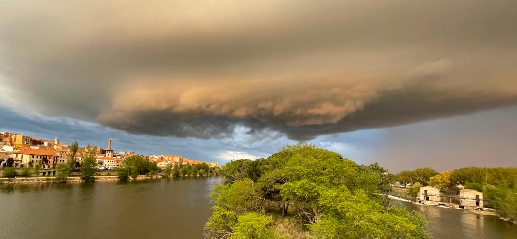 Si vienes a Zamora a conocer la nueva escultura de José Luis A. Coomonte (Premio Castilla y León de las Artes 2021), no te olvides de acercarte a conocer también las obras de arte culinarias de El Capitol!! 😃