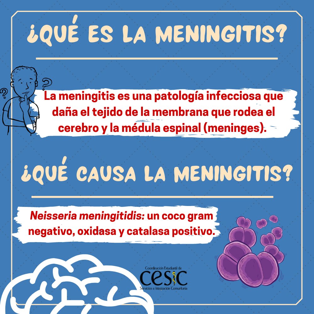 CESICMU's tweet photo. Ayer, 24 de abril, fue el Día Mundial de la Meningitis 🧠🧫 ¿Sabes qué la causa?
La meningitis meningocócica es una infección que daña a las meninges, causada por Neisseria meningitidis, y que puede producir secuelas neurológicas graves.

#diamundialdelameningitis https://t.co/fVJrSN39B6