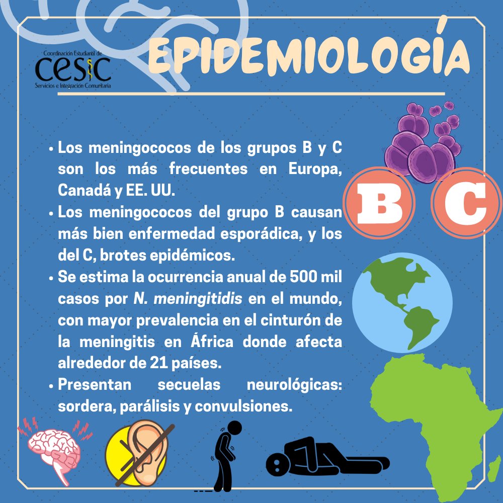 CESICMU's tweet photo. Ayer, 24 de abril, fue el Día Mundial de la Meningitis 🧠🧫 ¿Sabes qué la causa?
La meningitis meningocócica es una infección que daña a las meninges, causada por Neisseria meningitidis, y que puede producir secuelas neurológicas graves.

#diamundialdelameningitis https://t.co/fVJrSN39B6