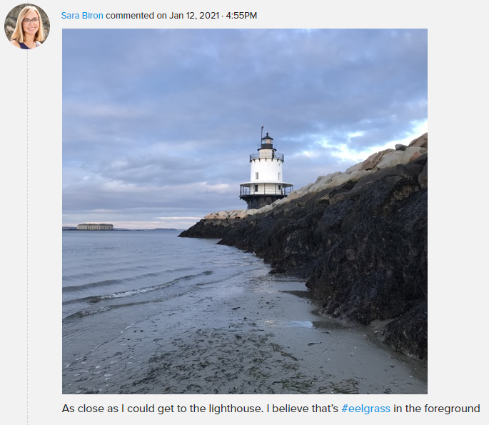 CascoBay's tweet photo. “This was the lowest tide I’ve ever seen here, so I had to take a photo of it. You could almost walk to the lighthouse on the sand.” #SpringPoint #CascoBay

https://t.co/xgLJFDr3vK https://t.co/5vrleCPIqr
