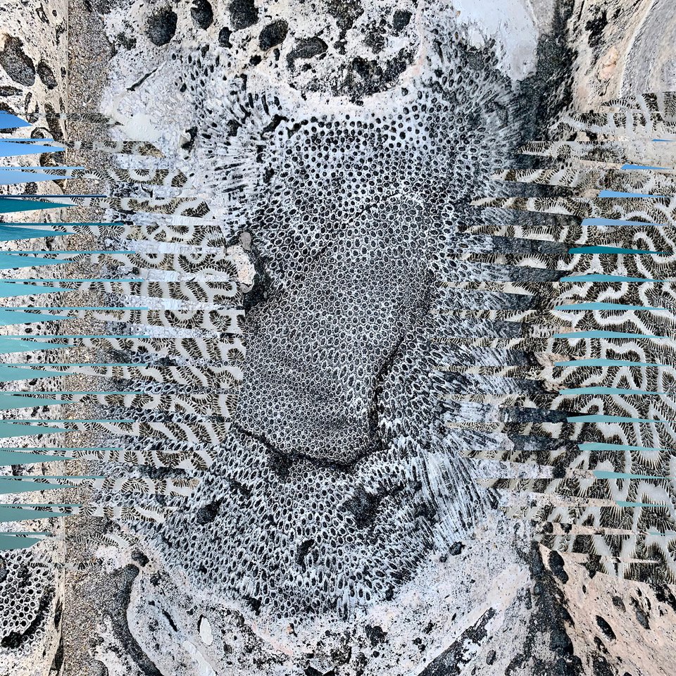 mvanvlodrop's tweet photo. MvVO Art is excited to give you a preview of our upcoming ART SHOW 2021 at the Oculus at @westfieldworldtradecenter opening May 3rd at 4pm
EST
Artwork by AD ART SHOW artist BI Cody
.
.
.
.
#adartshow #adartshow2021 #digitalartshow #art #contemporaryart #emergingart #emerginga https://t.co/5K2ueT4YOX