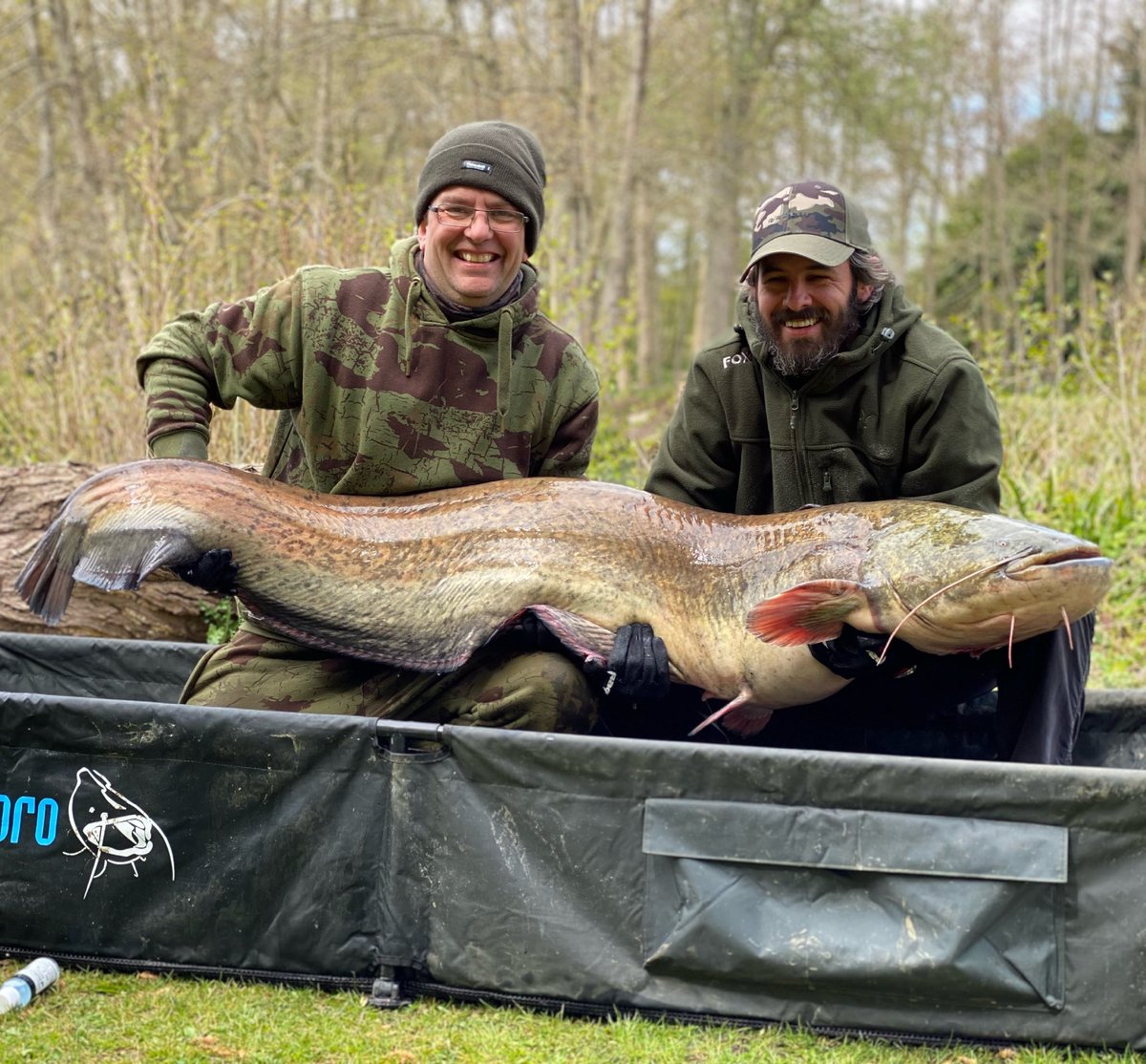 NEW LAKE RECORD - ‘Double P’ (Prince Philip) at a whopping 72-06lbs 👀 #catfishpro #tackle #CatsOfTwitter #catfsih #catangler #catfishing #angling #dayticket #lakes #Brentwood #essex #catfisherman
