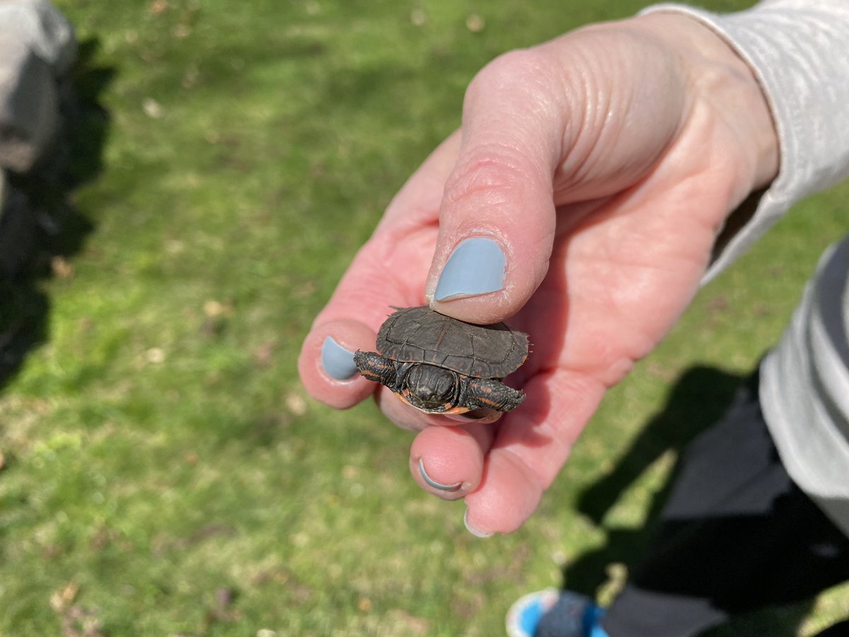Earth Day showed up in our yard today! 😎