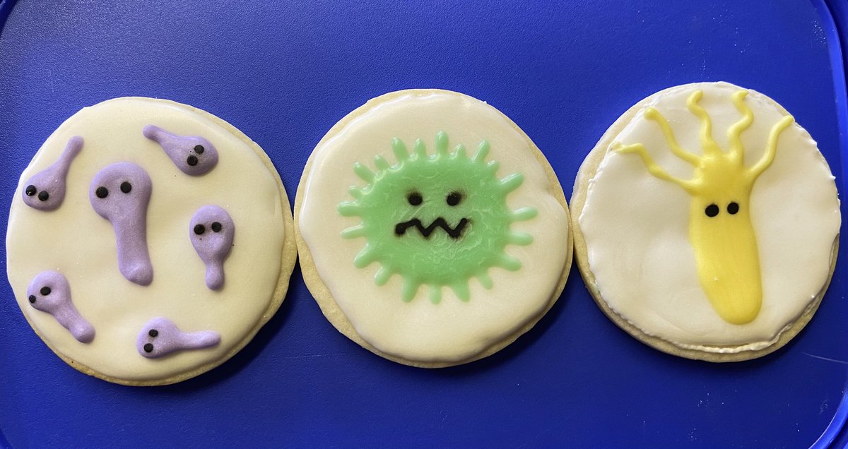 #SundayFunday baking & decorating  #gut pathogen inspired cookies - including @MicroMindy fav: C. diff & @AmyEngevik fav: H. pylori.
Plus an attempted rotavirus for @HyserLab 

#biobakes #sciencesunday #itried #followyourgut #microbes #sisterlab