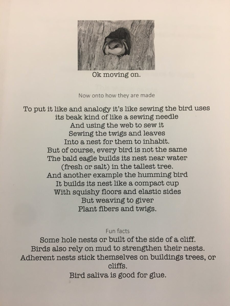Lynnchuback (@mrschubacca) on Twitter photo Birds Nests = Engineering at its best! Followed by some amazing research and writing. Overall conclusion by Grade 4/5 : making a nest is hard work! <a href="/Surrey_Schools/">Surrey Schools</a> #sd36 Birds Nests = Engineering at its best! Followed by some amazing research and writing. Overall conclusion by Grade 4/5 : making a nest is hard work! <a href="/Surrey_Schools/">Surrey Schools</a> #sd36
