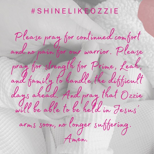 Our beloved Warrior Baby Ozzie and his courageous family are asking for prayers.
This is Warrior Mama Leah #prayer and she’s requested supporters wear purple, light a candle, and pray at 5pm PST. We ask you to share this wherever you can and include the #SHINELIKEOZZIE hashtag.