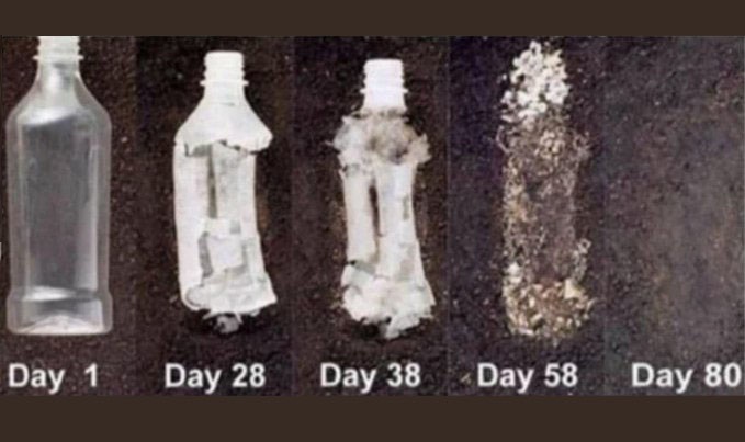 Kenevirden üretilen plastiğin doğa da 80 günde tamamen yok olması. ♻️
•Petrol bazlı plastiklere muhteşem bir alternatif.
•Kenevir, Toksik değil biyolojik olarak parçalanabilir.
•Petrol bazlı plastiklere oranla 2.5 kat daha güçlü ve daha hafiftir.