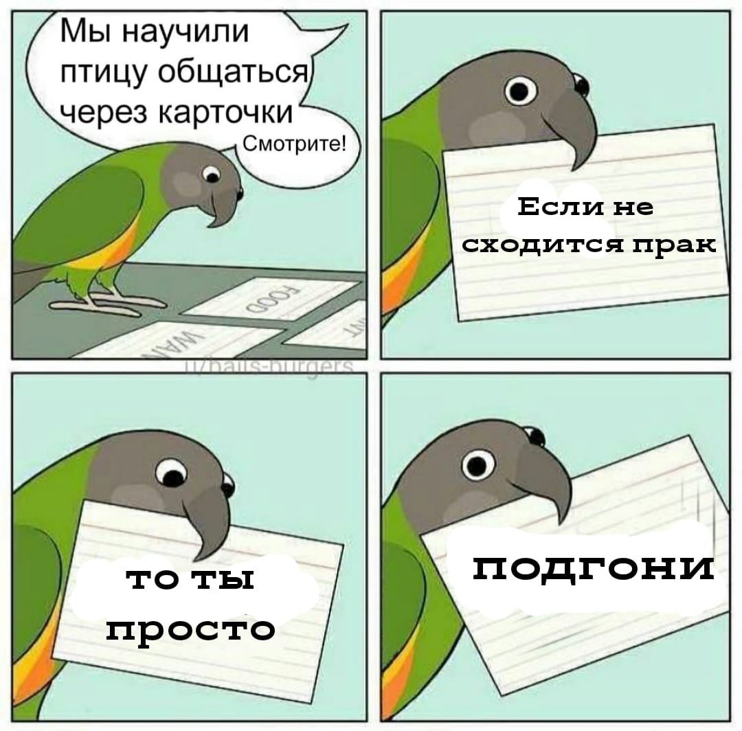 How to bird. Wholesome memes. Wholesome meme. Wholesome перевод. The talking Bird.
