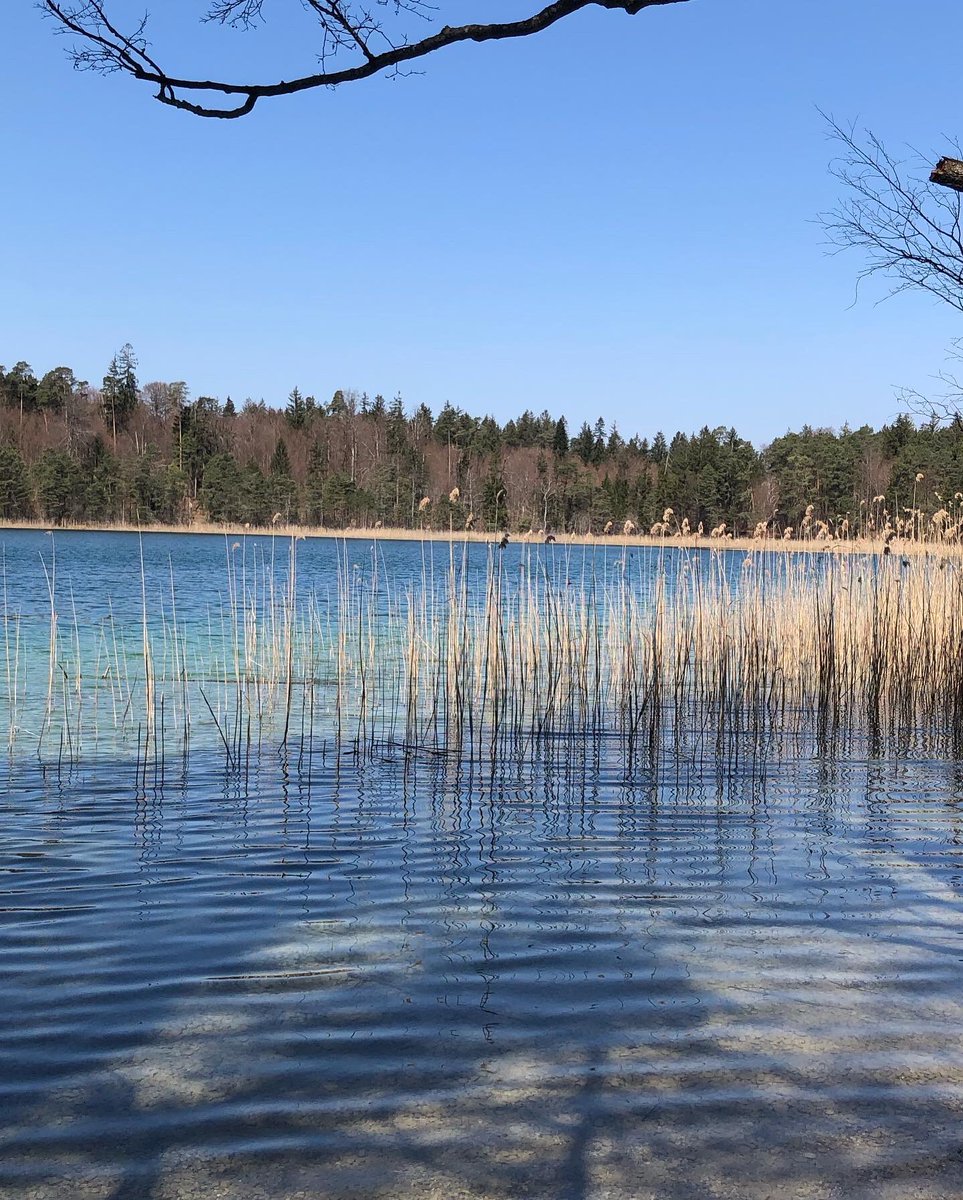 casal_gaelle's tweet photo. Magnifiques #osterseen #bavaria #naturecolors https://t.co/rjWcnPPayZ
