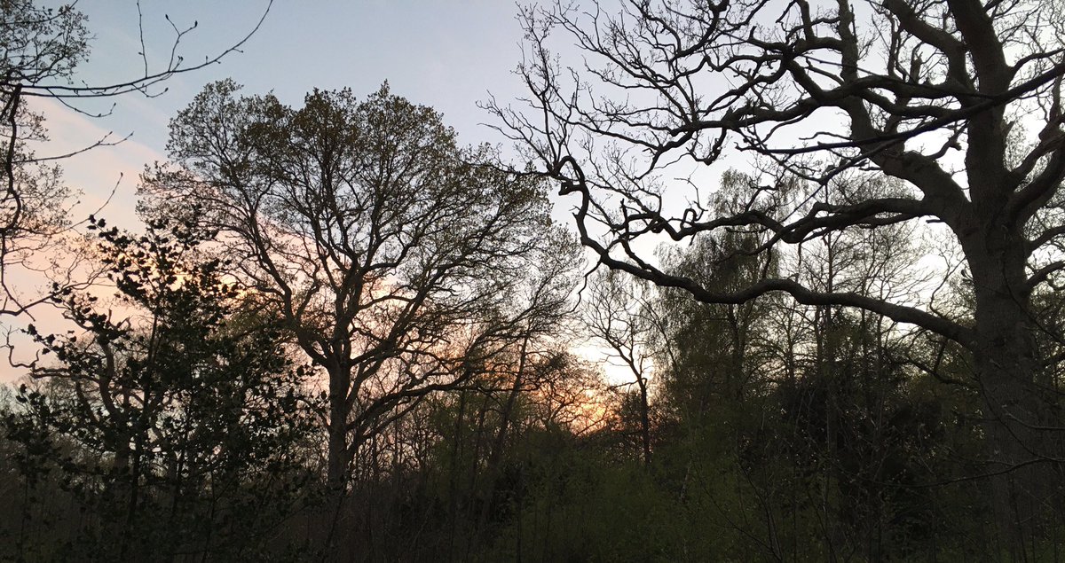 All quiet on #HollybankFireWatch last night, which was a relief. Many local persons have signed up to support #FireWatch and report in any fire, which is amazing. Thank you.
<a href="/HantsIOW_fire/">Hampshire & Isle of Wight Fire & Rescue Service</a> #Emsworth #community #Woodland